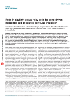 Rods in Daylight Act As Relay Cells for Cone-Driven Horizontal Cell&Ndash