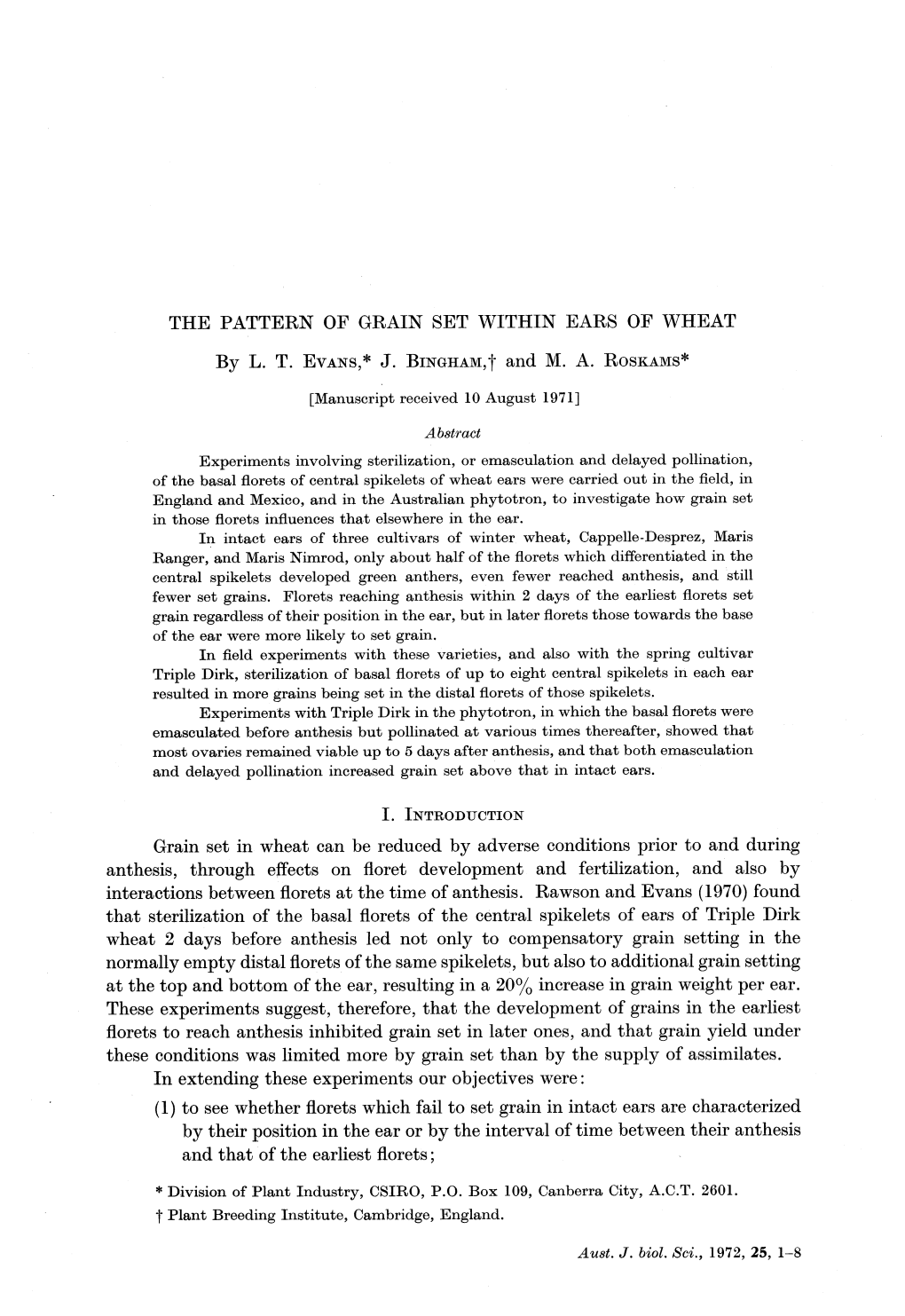 THE PATTERN of GRAIN SET WITHIN EARS of WHEAT by L. T