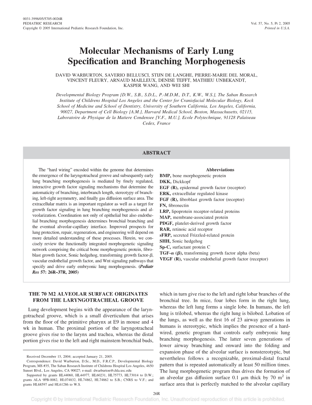 Molecular Mechanisms of Early Lung Specification and Branching