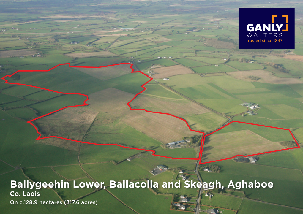 Ballygeehin Lower, Ballacolla and Skeagh, Aghaboe Co