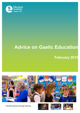 Advice on Gaelic Education