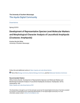 Development of Representative Species-Level Molecular Markers and Morphological Character Analysis of Leucothoid Amphipods (Crustacea: Amphipoda)