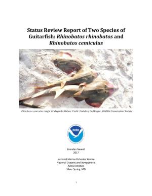 Status Review Report of Two Species of Guitarfish: Rhinobatos Rhinobatos and Rhinobatos Cemiculus