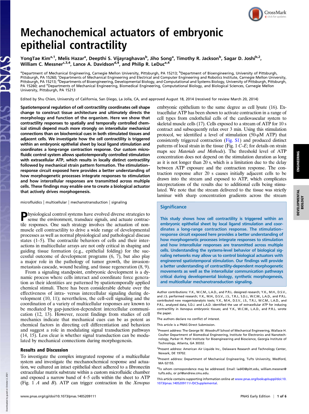 Mechanochemical Actuators of Embryonic Epithelial Contractility