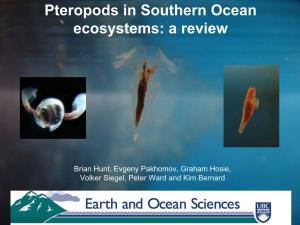 Pteropods in Southern Ocean Ecosystems: a Review