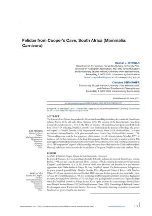 Felidae from Cooper's Cave, South Africa (Mammalia: Carnivora)