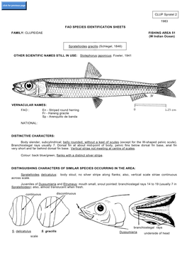 CLUP Spratel 2 1983 FAO SPECIES IDENTIFICATION SHEETS FAMILY
