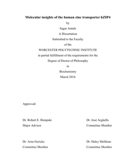 Molecular Insights of the Human Zinc Transporter Hzip4