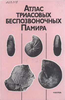 Atlas Triassic Pamir,2001.Pdf