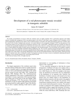 Development of a Rod Photoreceptor Mosaic Revealed in Transgenic Zebraﬁsh