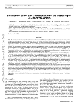 Small Lobe of Comet 67P: Characterization of the Wosret Region with ROSETTA-OSIRIS S