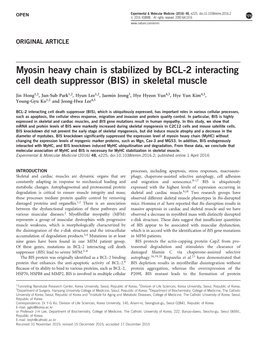 Myosin Heavy Chain Is Stabilized by BCL-2 Interacting Cell Death Suppressor (BIS) in Skeletal Muscle