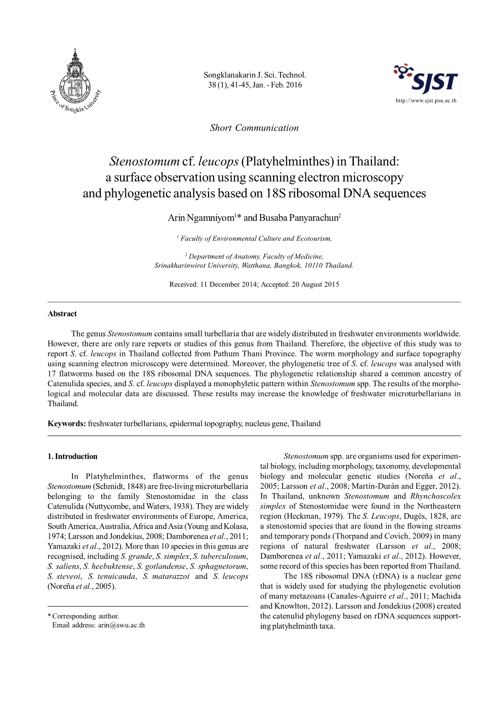 Stenostomumcf. Leucops(Platyhelminthes) in Thailand