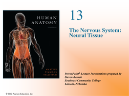 The Nervous System: Neural Tissue