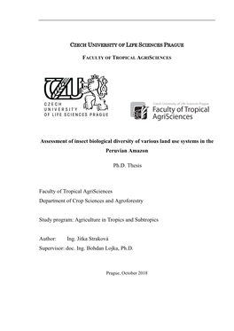 Assessment of Insect Biological Diversity of Various Land Use Systems in the Peruvian Amazon