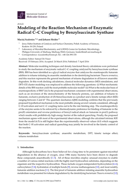 Modeling of the Reaction Mechanism of Enzymatic Radical C–C Coupling by Benzylsuccinate Synthase