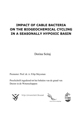 Impact of Cable Bacteria on the Biogeochemical Cycling in a Seasonally Hypoxic Basin