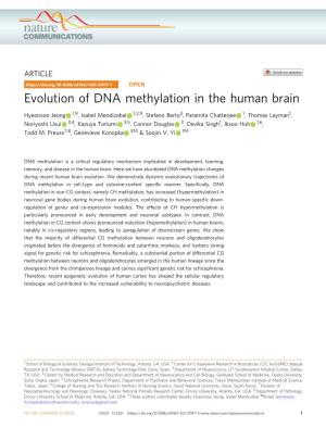 Evolution of DNA Methylation in the Human Brain