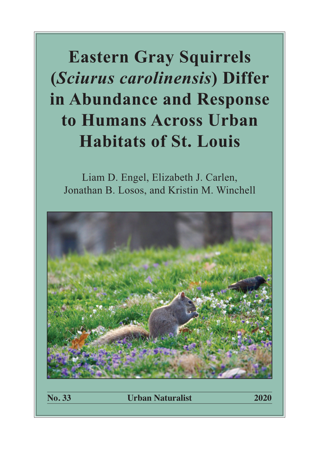 Eastern Gray Squirrels (Sciurus Carolinensis) Differ In Abundance And ...