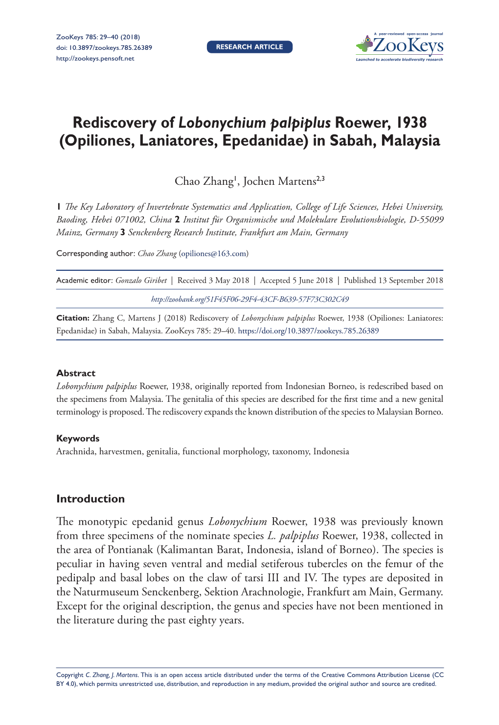 Rediscovery of Lobonychium Palpiplus Roewer, 1938 (Opiliones, Laniatores, Epedanidae) in Sabah, Malaysia