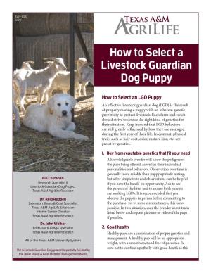 How to Select a Livestock Guardian Dog Puppy