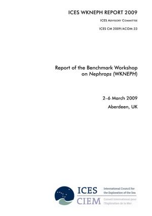 Report of the Benchmark Workshop on Nephrops (WKNEPH). ICES