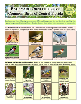 Backyard Birds, Ornithology Study & ID Guide