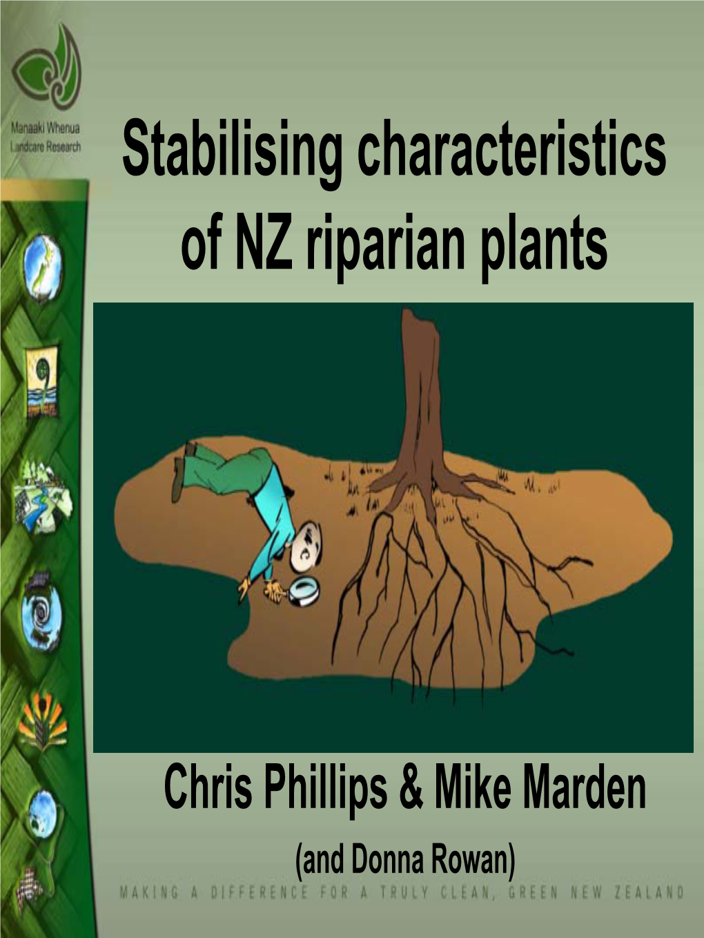 Stabilising Characteristics of NZ Riparian Plants