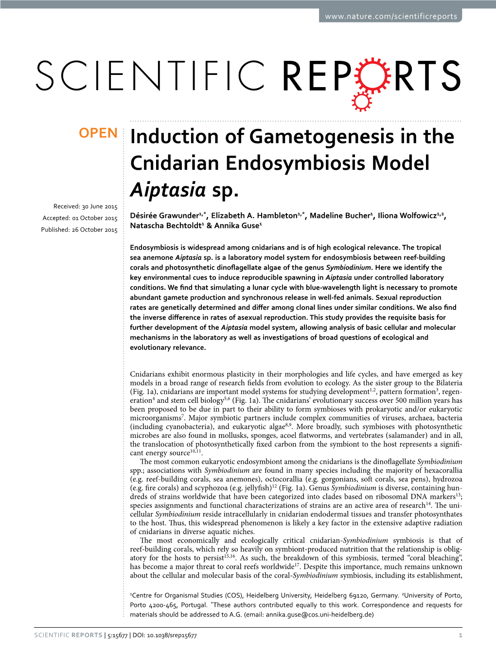 Induction of Gametogenesis in the Cnidarian Endosymbiosis Model Aiptasia Sp