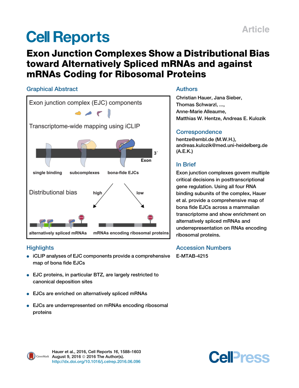 Exon Junction Complexes Show a Distributional Bias Toward Alternatively Spliced Mrnas and Against Mrnas Coding for Ribosomal Proteins