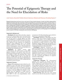 The Potential of Epigenetic Therapy and the Need for Elucidation of Risks
