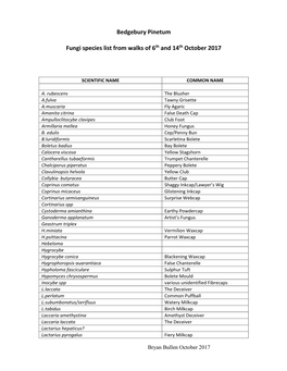 Lullingstone Park Fungus Foray 23 October 2004 – Species List