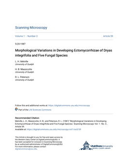 Morphological Variations in Developing Ectomycorrhizae of Dryas Integrifolia and Five Fungal Species