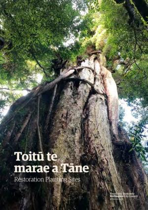 Toitū Te Marae a Tāne-Mahuta, Toitū Te Marae a Tangaroa, Toitū Te Tangata