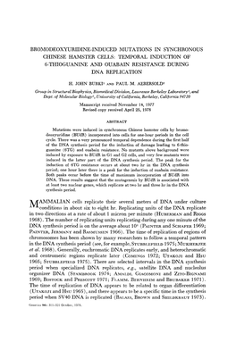 Bromodeoxyuridine-Induced Mutations in Synchronous Chinese Hamster Cells: Temporal Induction of 6-Thioguanine and Ouabain Resistance During Dna Replication