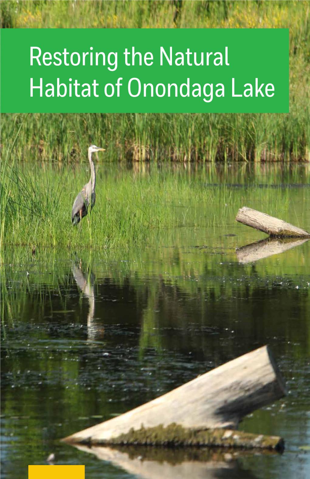 Restoring the Natural Habitat of Onondaga Lake Honeywell Received Audubon New York’S “Thomas W