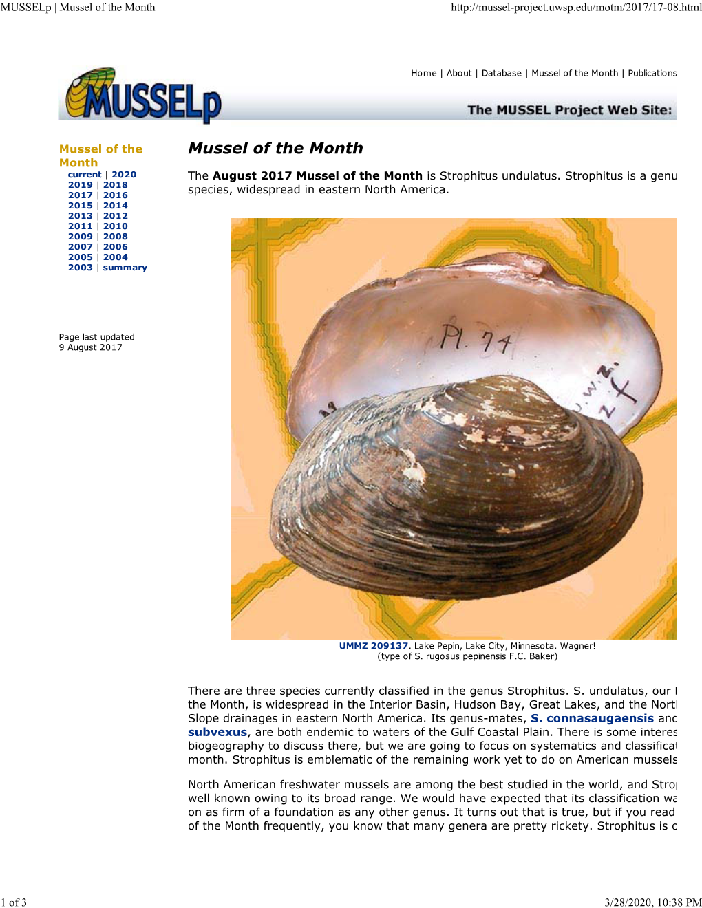 Musselp | Mussel of the Month
