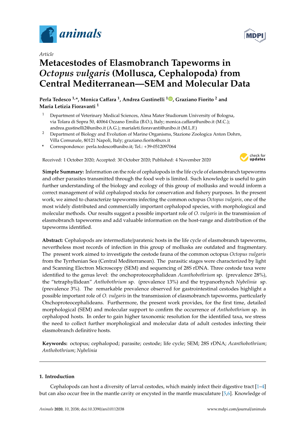 Metacestodes of Elasmobranch Tapeworms in Octopus Vulgaris (Mollusca, Cephalopoda) from Central Mediterranean—SEM and Molecular Data