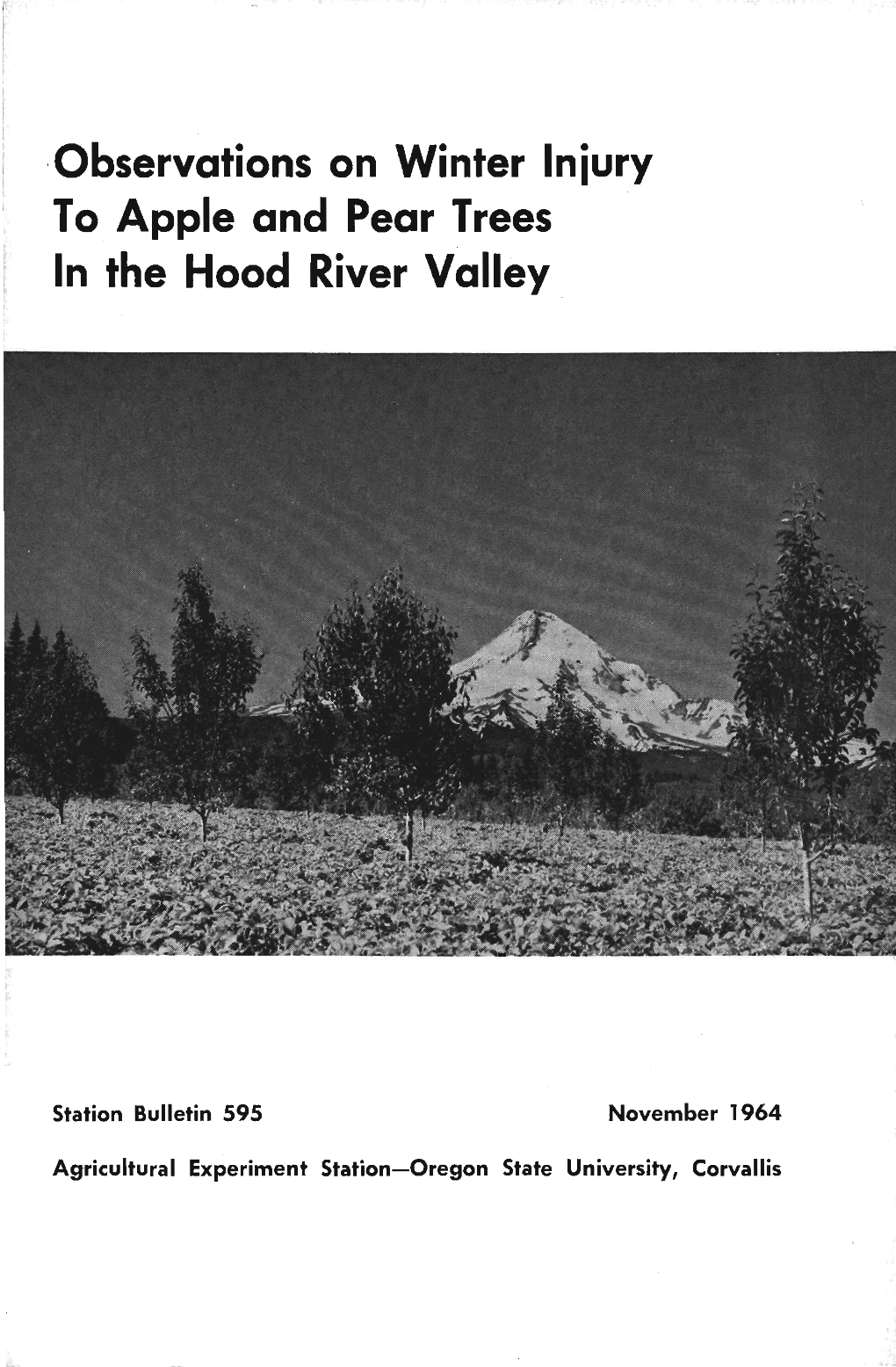 Observations on Winter Injury in the Hood River Valley