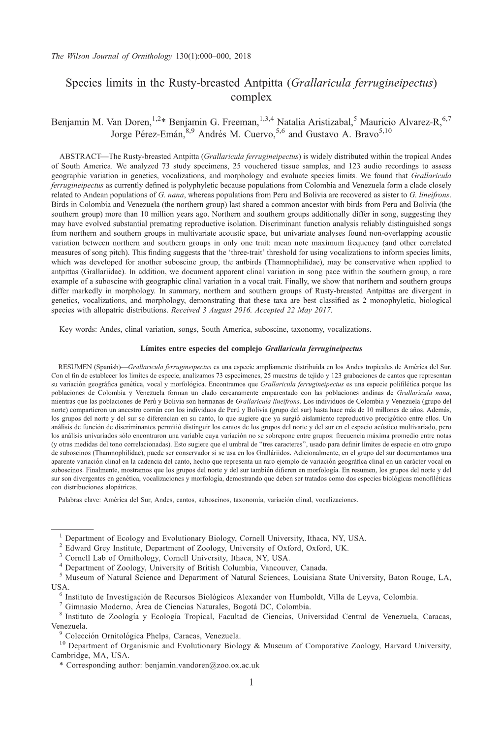 Species Limits in the Rusty-Breasted Antpitta (Grallaricula Ferrugineipectus) Complex