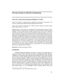 Braun (10 Pages)