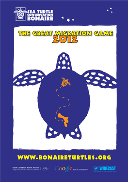 Sea Turtle Conservation Bonaire The