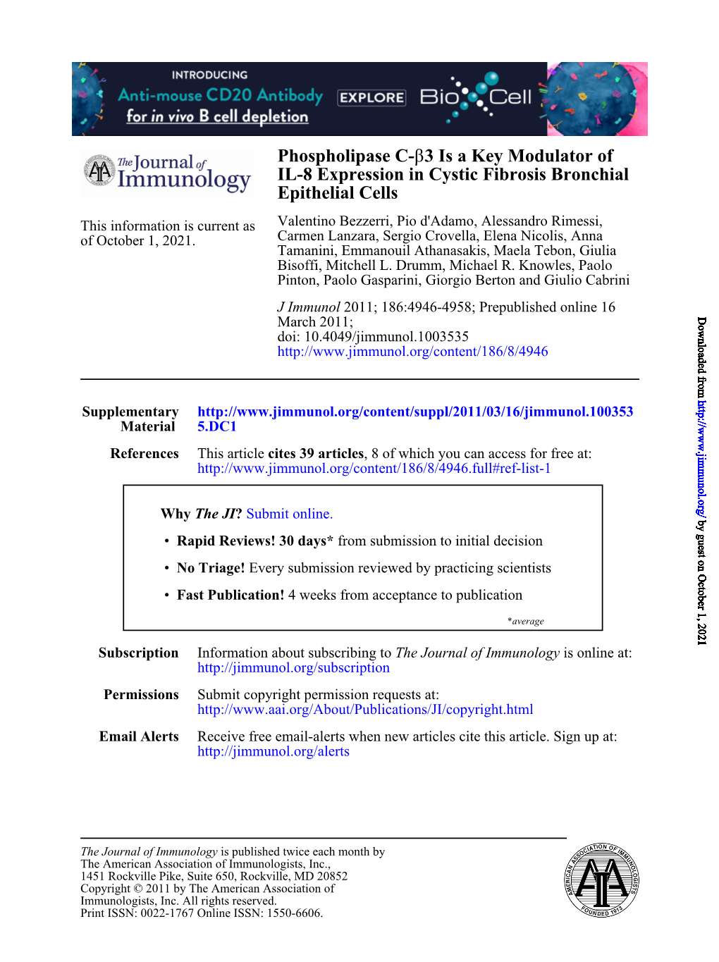 Epithelial Cells IL-8 Expression in Cystic Fibrosis Bronchial 3 Is a Key