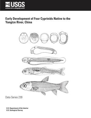 Early Development of Four Cyprinids Native to the Yangtze River, China