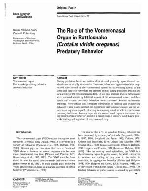 The Role of the Vomeronasal Organ in Rattlesnake