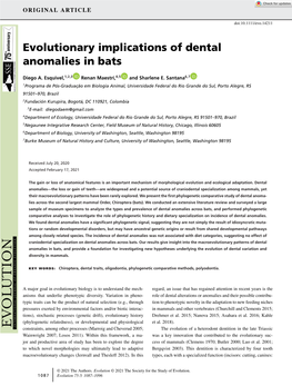 Evolutionary Implications of Dental Anomalies in Bats