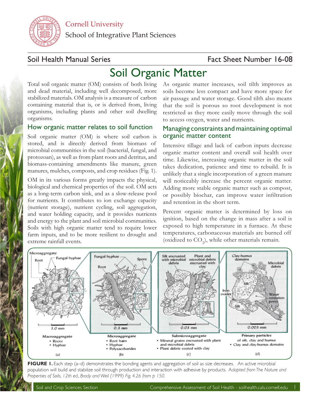 Soil Organic Matter