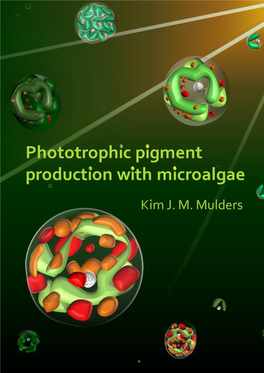 Phototrophic Pigment Production with Microalgae
