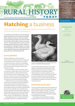 Hatching a Business