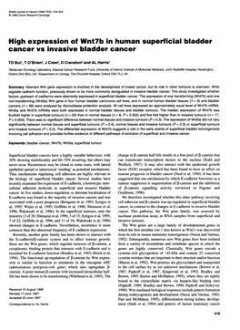 High Expression of Wnt7b in Human Superficial Bladder Cancer Vs Invasive Bladder Cancer